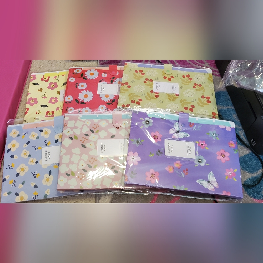 Expandable file folders